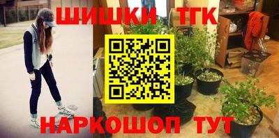 стаф Владивосток